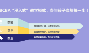 北大医疗脑健康行为发展教研中心，为自闭症儿童提供入园、入户、入校系统服务