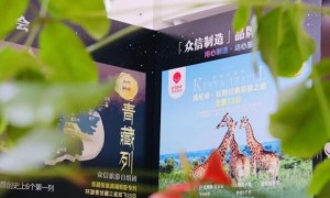 众信旅游2024半年度业绩亮眼，实现显著增长与创新升级